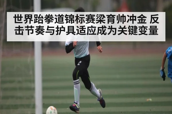世界跆拳道锦标赛梁育帅冲金 反击节奏与护具适应成为关键变量 | c7c7.app